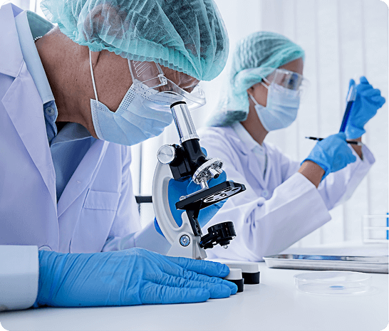 Stoisko targowe Prino-Plast